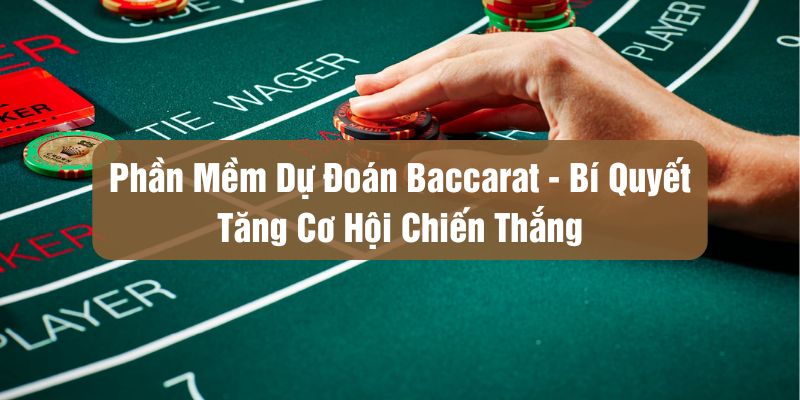 Phần Mềm Dự Đoán Baccarat