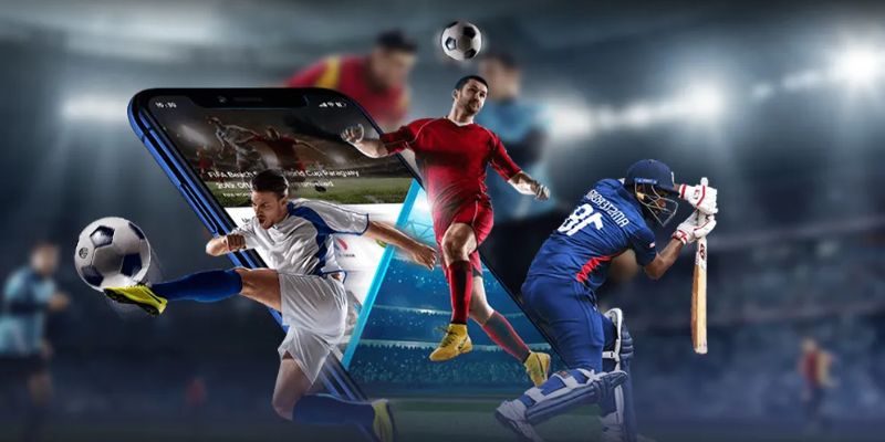 Các bộ môn thể thao được ưa chuộng tại sảnh thể thao Kubet